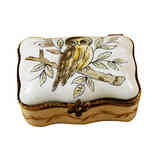 Magnifique Owl Rectangle Box