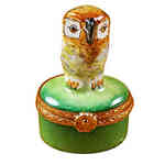 Magnifique Small Owl on Green Box