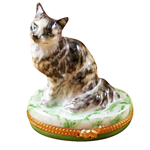 Magnifique Ocicat Limoges Box