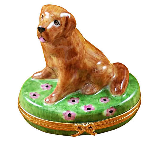 Magnifique Golden Retriever on Flowers Limoges Box