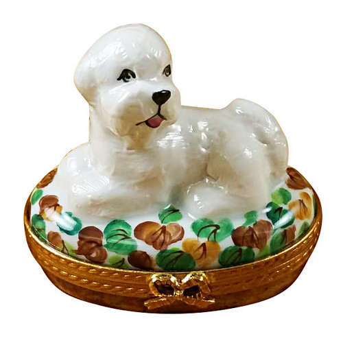 Magnifique Bichon Lying Down Limoges Box