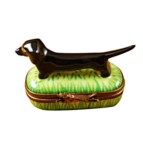 Magnifique Black and Tan Dachshund Limoges Box