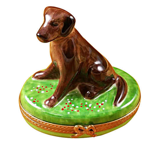 Magnifique Sitting Chocolate Lab Limoges Box