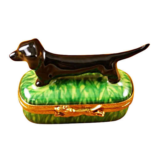 Magnifique Black Dachshund Limoges Box