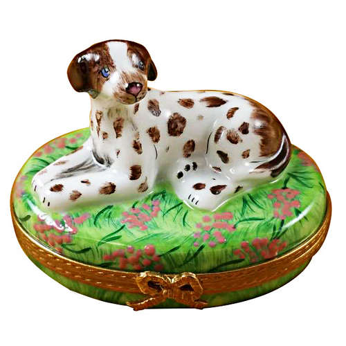 Magnifique Pointer Limoges Box