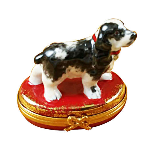 Magnifique Black and White Cocker Spaniel Limoges Box