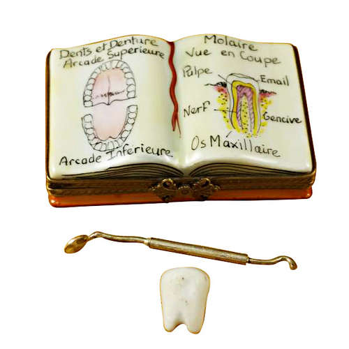 Magnifique Dentistry Book Limoges Box