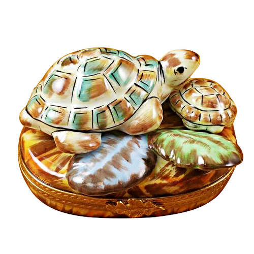 Magnifique Turtle Family Limoges Box