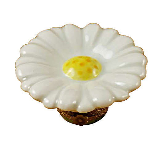 Magnifique White Daisy Limoges Box