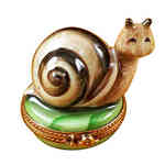 Magnifique Escargot - Snail