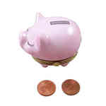 Magnifique Piggy Bank with Slot with Coins