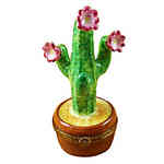 Magnifique Flowering Saguaro Cactus