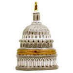 Magnifique United States Capitol