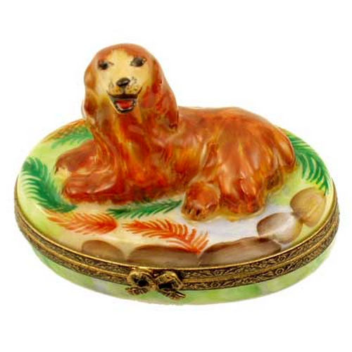 Magnifique Irish Setter Limoges Box