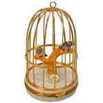 Artoria Tanagers in Cage