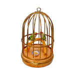 Artoria Lovebirds in Cage