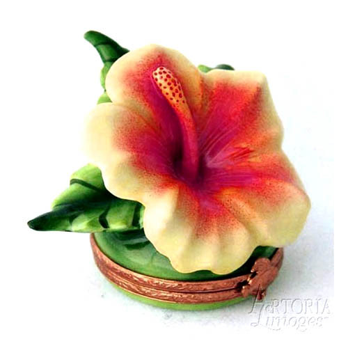 Artoria Hawaian Hibiscus Limoges Box