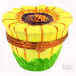 Artoria Sunflower