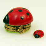 Rochard Lady Bug with Baby