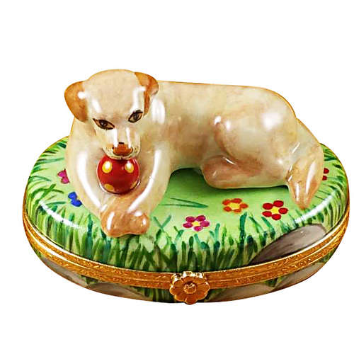 Rochard Beige Lab with Ball Limoges Box