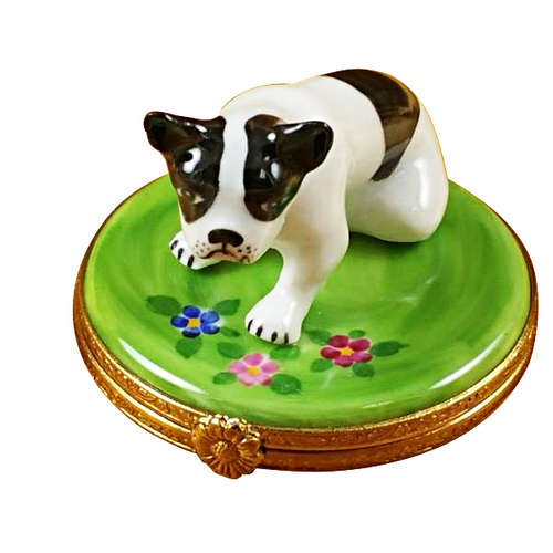 Rochard Boston Terrier Limoges Box