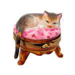 Rochard Cat on Pink Stool