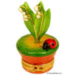 Rochard Lily of the Valley with Lady Bug in Pot