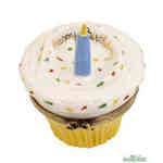 Rochard Happy Birthday Cupcake with Blue Candle