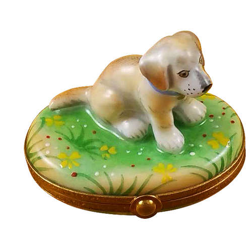 Rochard Yellow Labrador Puppy Limoges Box