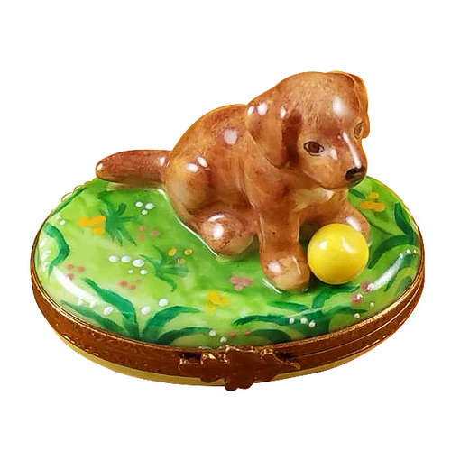 Rochard Chocolate Labrador Puppy Limoges Box
