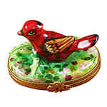 Rochard Cardinal - spring