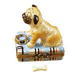 Rochard Pug with Spilt Water and Removable Bone