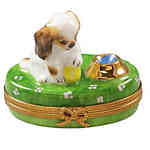 Rochard Spaniel Puppy with Ball and Bowl of Water